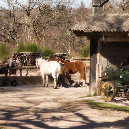 Domaine Du Bois Du Loup Apartment Saint-Agnan  ภายนอก รูปภาพ