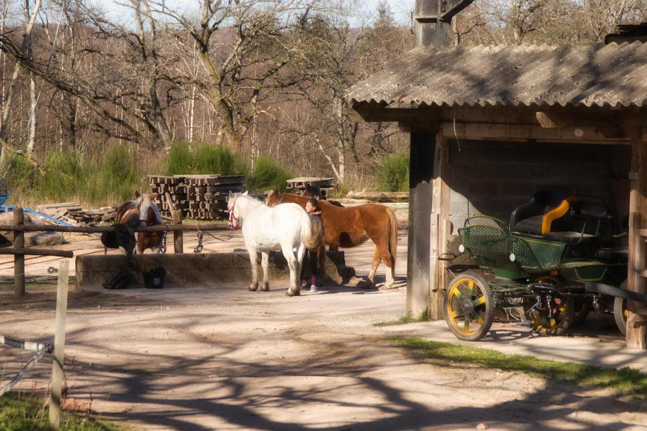 Domaine Du Bois Du Loup Apartment Saint-Agnan  ภายนอก รูปภาพ